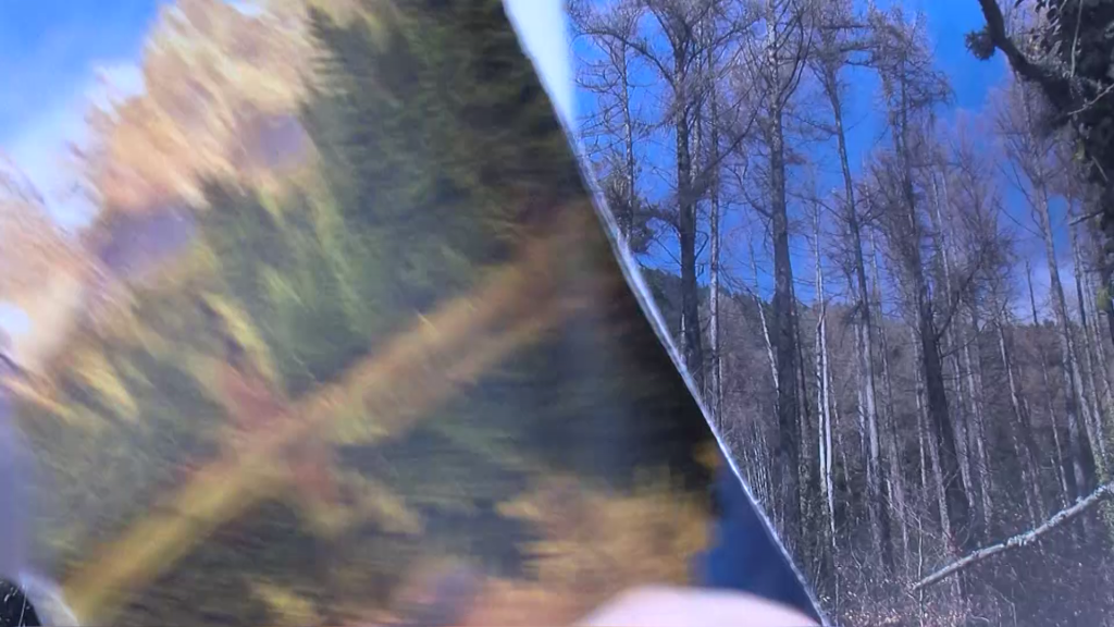 vlcsnap-00040